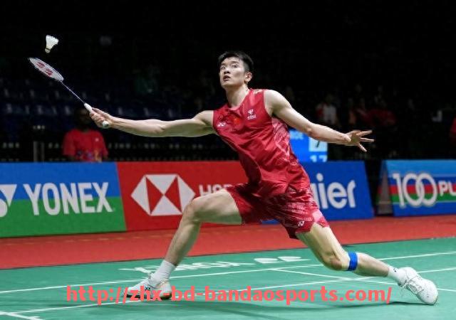 半岛体育-法甲里昂俱乐部财务稳定性的分析与保障