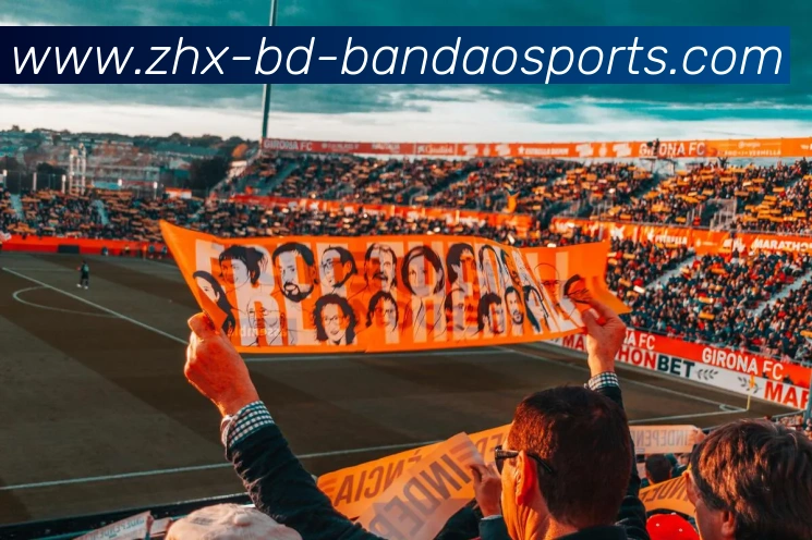 App Interface Preview