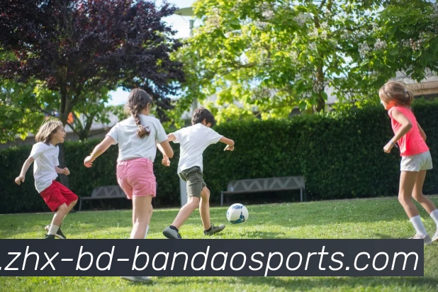 半岛体育APP 封面图