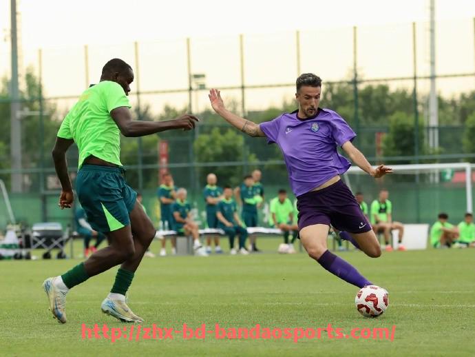 半岛体育-罗伊斯加盟德甲球队的贡献与未来展望